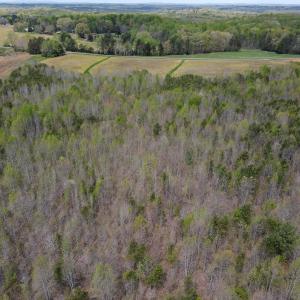 Photo #10 of SOLD property in Off Elkhorn Rd, Java, VA 34.4 acres