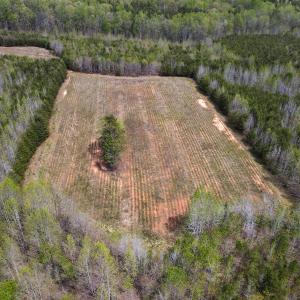 Photo #11 of SOLD property in Off Elkhorn Rd, Java, VA 34.4 acres