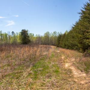 Photo #12 of SOLD property in Off Elkhorn Rd, Java, VA 34.4 acres