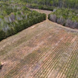 Photo #14 of SOLD property in Off Elkhorn Rd, Java, VA 34.4 acres