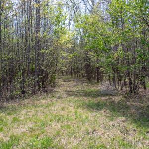 Photo #15 of SOLD property in Off Elkhorn Rd, Java, VA 34.4 acres