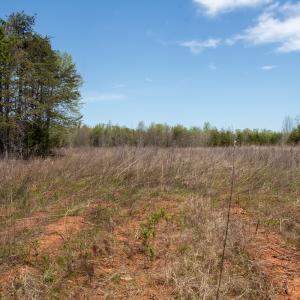 Photo #16 of SOLD property in Off Elkhorn Rd, Java, VA 34.4 acres