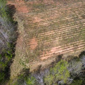 Photo #17 of SOLD property in Off Elkhorn Rd, Java, VA 34.4 acres
