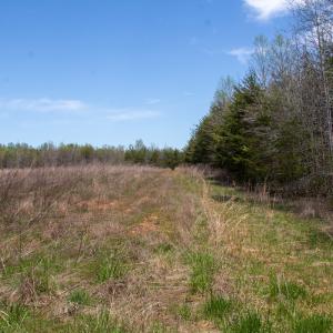 Photo #19 of SOLD property in Off Elkhorn Rd, Java, VA 34.4 acres