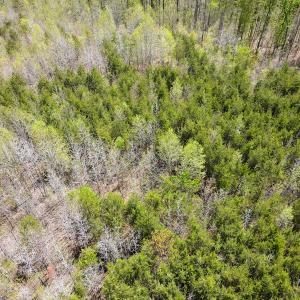 Photo #22 of SOLD property in Off Elkhorn Rd, Java, VA 34.4 acres