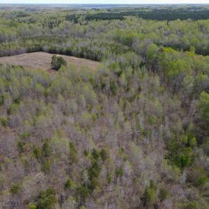 Photo #25 of SOLD property in Off Elkhorn Rd, Java, VA 34.4 acres