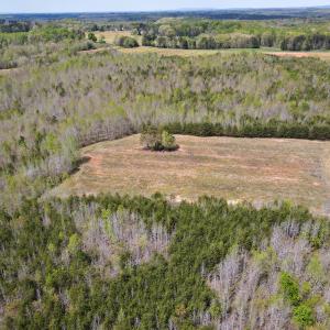 Photo #27 of SOLD property in Off Elkhorn Rd, Java, VA 34.4 acres