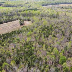 Photo #28 of SOLD property in Off Elkhorn Rd, Java, VA 34.4 acres