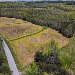 Photo #3 of SOLD property in Off Elkhorn Rd, Java, VA 34.4 acres