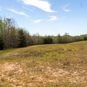 Photo #30 of SOLD property in Off Elkhorn Rd, Java, VA 34.4 acres