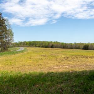 Photo #4 of SOLD property in Off Elkhorn Rd, Java, VA 34.4 acres