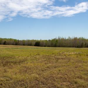 Photo #5 of SOLD property in Off Elkhorn Rd, Java, VA 34.4 acres