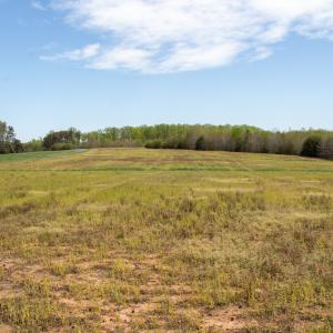 Photo #6 of SOLD property in Off Elkhorn Rd, Java, VA 34.4 acres