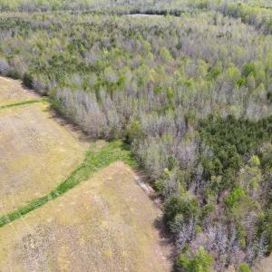 Photo #7 of SOLD property in Off Elkhorn Rd, Java, VA 34.4 acres