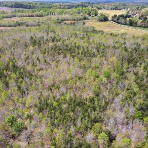 Photo #9 of SOLD property in Off Elkhorn Rd, Java, VA 34.4 acres