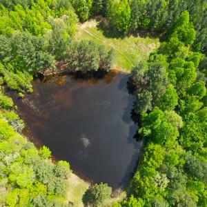 Photo #12 of SOLD property in Off Liberty Rd, Alberta, VA 57.8 acres