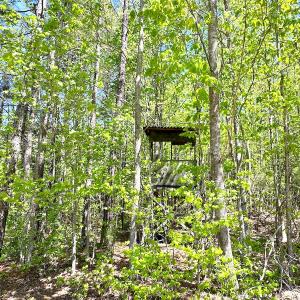Photo #15 of SOLD property in Off Liberty Rd, Alberta, VA 57.8 acres