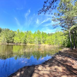 Photo #16 of SOLD property in Off Liberty Rd, Alberta, VA 57.8 acres