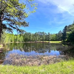 Photo #18 of SOLD property in Off Liberty Rd, Alberta, VA 57.8 acres