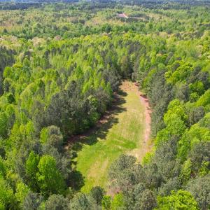 Photo #19 of SOLD property in Off Liberty Rd, Alberta, VA 57.8 acres