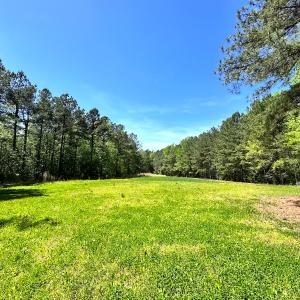 Photo #20 of SOLD property in Off Liberty Rd, Alberta, VA 57.8 acres