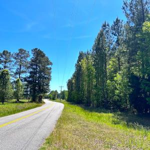 Photo #5 of SOLD property in Off Liberty Rd, Alberta, VA 57.8 acres