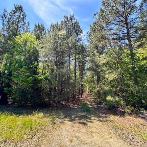 Photo #6 of SOLD property in Off Liberty Rd, Alberta, VA 57.8 acres