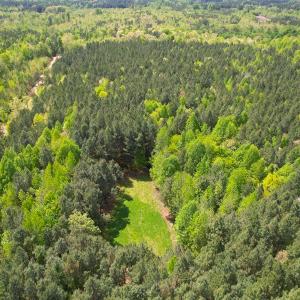 Photo #8 of SOLD property in Off Liberty Rd, Alberta, VA 57.8 acres