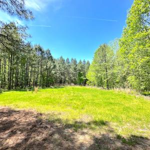 Photo #9 of SOLD property in Off Liberty Rd, Alberta, VA 57.8 acres