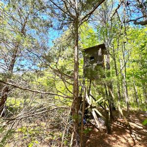 Photo #21 of SOLD property in Off Liberty Rd, Alberta, VA 57.8 acres