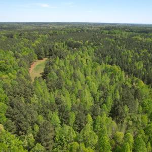 Photo #24 of SOLD property in Off Liberty Rd, Alberta, VA 57.8 acres