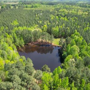 Photo #31 of SOLD property in Off Liberty Rd, Alberta, VA 57.8 acres