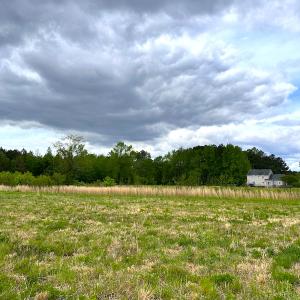 Photo #11 of SOLD property in Off Manning Rd, Suffolk, VA 12.7 acres