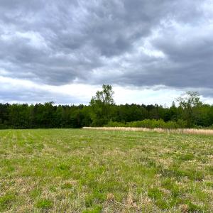 Photo #12 of SOLD property in Off Manning Rd, Suffolk, VA 12.7 acres