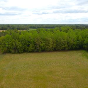 Photo #17 of SOLD property in Off Manning Rd, Suffolk, VA 12.7 acres
