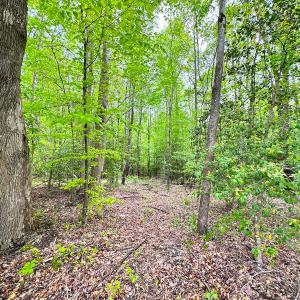 Photo #18 of SOLD property in Off Manning Rd, Suffolk, VA 12.7 acres