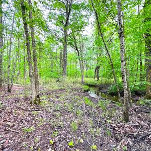 Photo #20 of Off Manning Rd, Suffolk, VA 12.7 acres