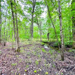Photo #20 of SOLD property in Off Manning Rd, Suffolk, VA 12.7 acres