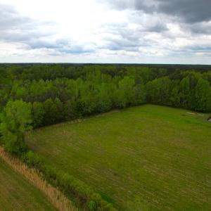 Photo #5 of SOLD property in Off Manning Rd, Suffolk, VA 12.7 acres