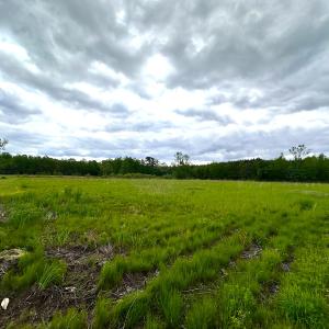 Photo #6 of Off Manning Rd, Suffolk, VA 12.7 acres