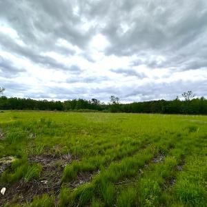 Photo #6 of SOLD property in Off Manning Rd, Suffolk, VA 12.7 acres
