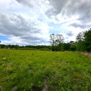 Photo #7 of SOLD property in Off Manning Rd, Suffolk, VA 12.7 acres