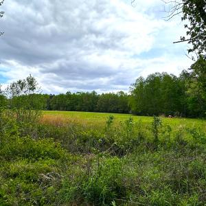 Photo #9 of SOLD property in Off Manning Rd, Suffolk, VA 12.7 acres