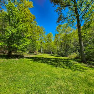 Photo #5 of 00, Stuart, VA 585.0 acres