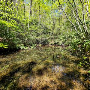Photo #7 of 00, Stuart, VA 585.0 acres