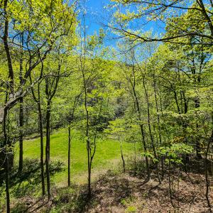 Photo #16 of 00, Stuart, VA 585.0 acres