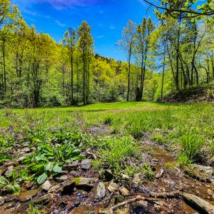 Photo #18 of 00, Stuart, VA 585.0 acres