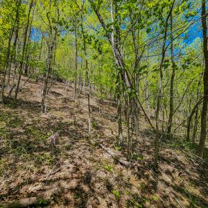 Photo #22 of 00, Stuart, VA 585.0 acres