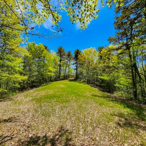 Photo #29 of 00, Stuart, VA 585.0 acres