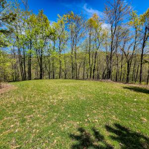 Photo #31 of 00, Stuart, VA 585.0 acres